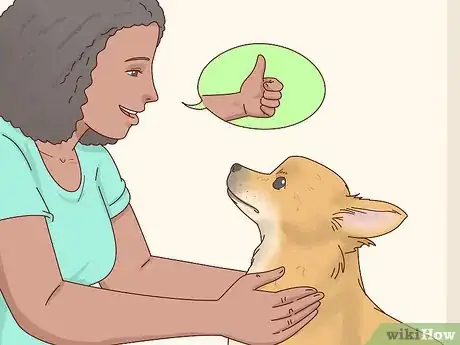 Imagen titulada Keep Pets off the Furniture Step 15