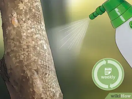 Imagen titulada Get Rid of Gypsy Moths Step 11