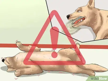 Imagen titulada Know if Your Dog Is Dreaming Step 7