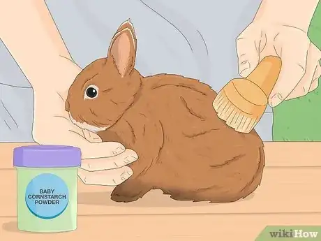 Imagen titulada Treat Diarrhea in Rabbits Step 12