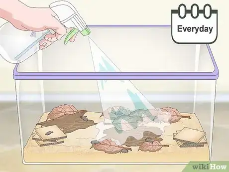 Imagen titulada Breed Isopods Step 6