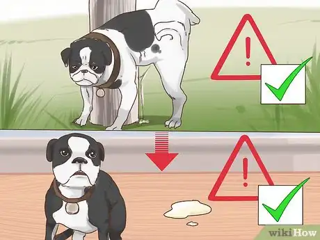 Imagen titulada Determine if You Should Euthanize Your Dog Step 4