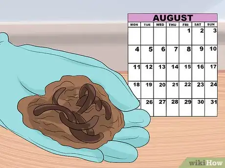 Imagen titulada Keep Fishing Worms Alive for Fishing Step 10