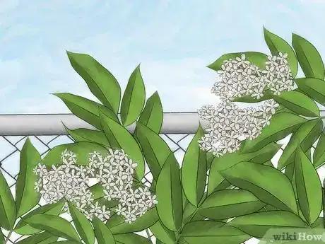 Imagen titulada Hide a Fence Step 5