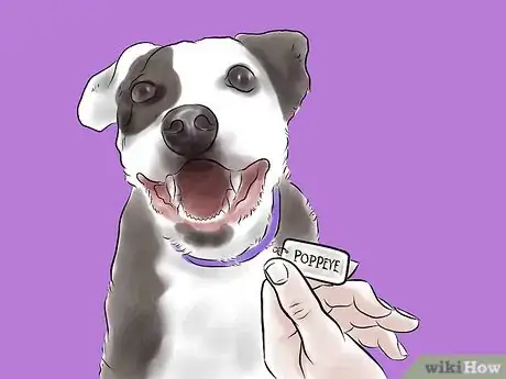 Imagen titulada Train a Pit Bull Step 3