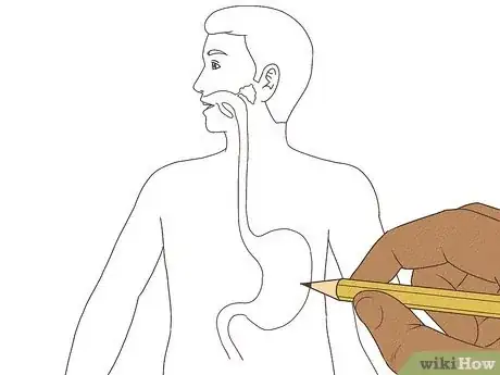Imagen titulada Draw a Model of the Digestive System Step 4