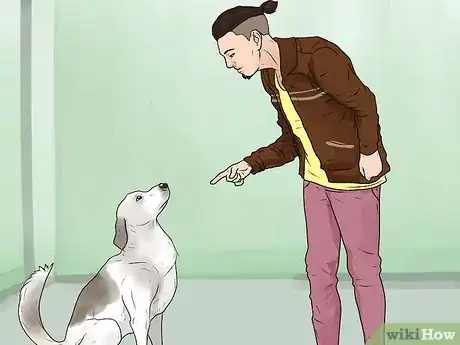 Imagen titulada Stop Your Dog from Barking at Strangers Step 11