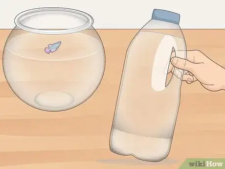 Imagen titulada Clean a Betta Fish Bowl Step 2