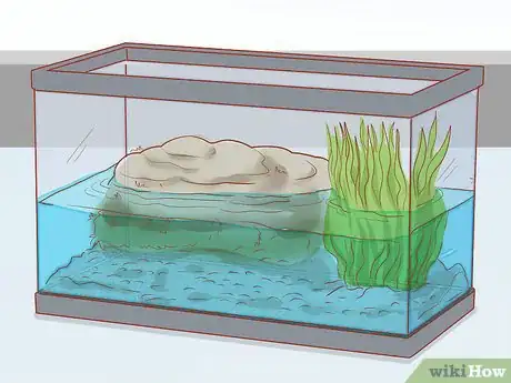 Imagen titulada Take Care of Baby Water Turtles Step 5