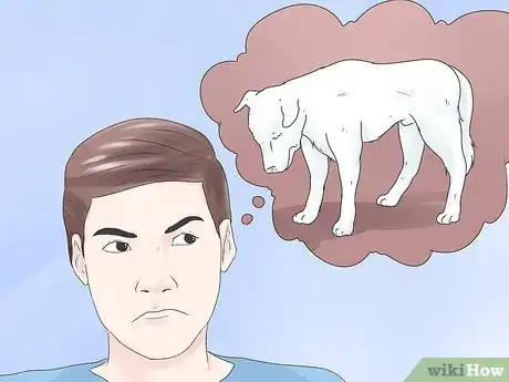 Imagen titulada Spot Dog Seizure Symptoms Step 1