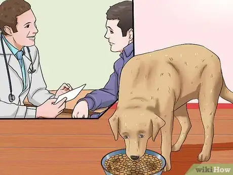 Imagen titulada Help Your Dog Lose Weight Step 5