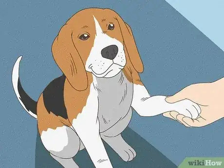 Imagen titulada Tell Your Dog No Step 2