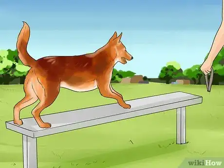 Imagen titulada Temperament Test a Dog Step 11