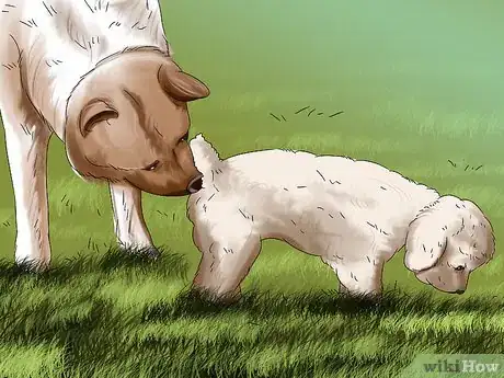 Imagen titulada Introduce a Puppy to a Dog Step 6