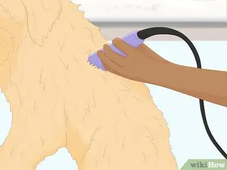 Imagen titulada Groom a Goldendoodle Step 10