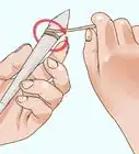 forjar marihuana