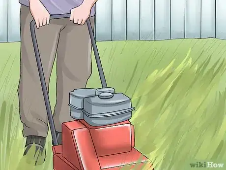 Imagen titulada Treat a Cat for Snakebite Step 13