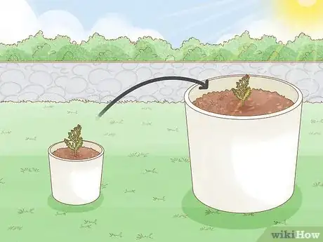 Imagen titulada Plant a Seed in a Pot Step 11