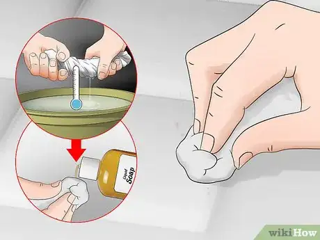 Imagen titulada Get Rid of Bed Bug Stains Step 11