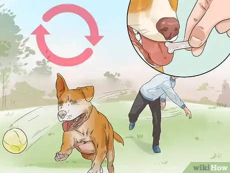 Imagen titulada Deal with Your Annoying Dog Step 4