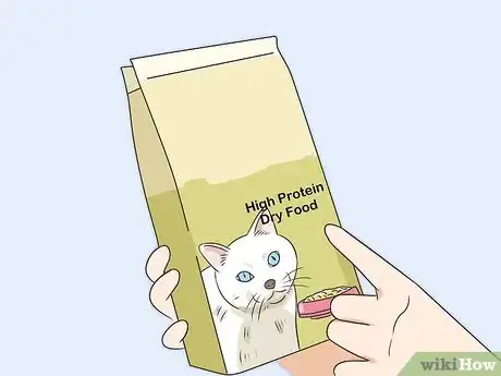 Imagen titulada Feed a Diabetic Cat Step 2