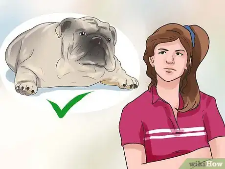 Imagen titulada Breed Dogs Step 3