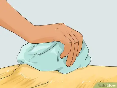 Imagen titulada Treat a Cat with Physical Therapy Step 2