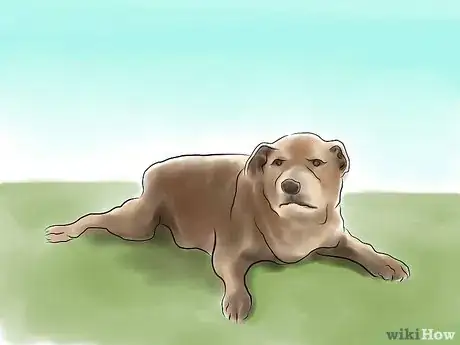 Imagen titulada Train a Pit Bull Step 5