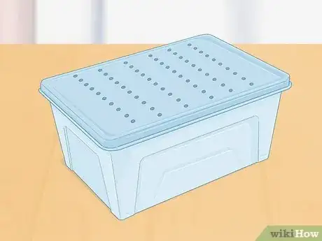 Imagen titulada Take Care of Lizard Eggs Step 1
