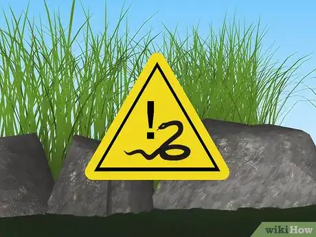 Imagen titulada Prevent Snake Bites Step 2