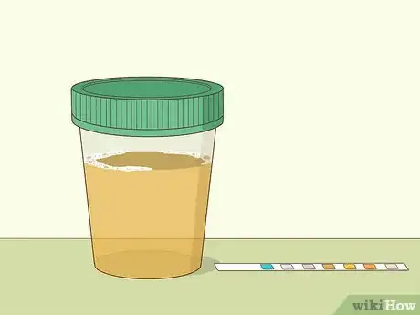Imagen titulada Reduce Foamy Urine Step 9