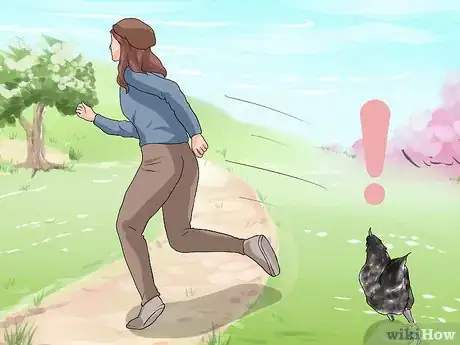 Imagen titulada Protect Yourself from an Attacking Rooster Step 4