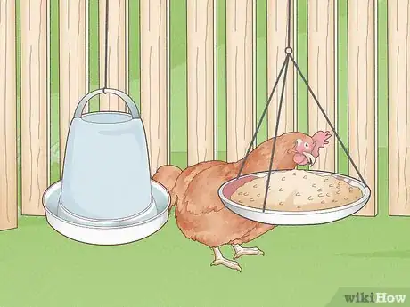 Imagen titulada Prevent Diseases in Chickens Step 2
