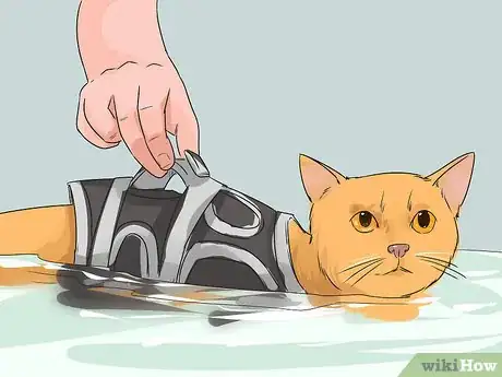 Imagen titulada Treat a Cat with Physical Therapy Step 5