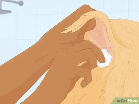 Imagen titulada Groom a Goldendoodle Step 15