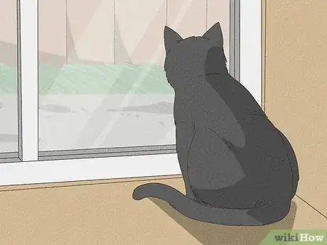 Imagen titulada Help a Cat with Epileptic Seizures Step 10