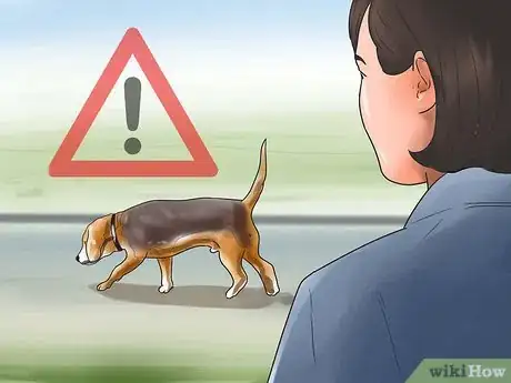 Imagen titulada Take Care of a Beagle Puppy Step 17