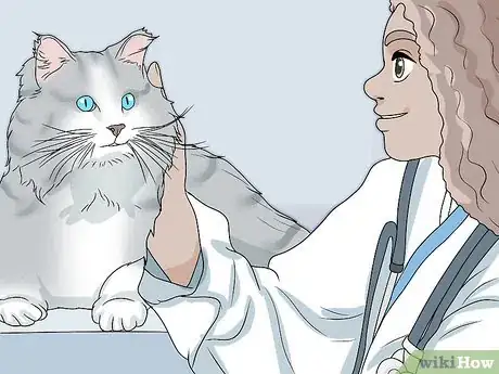 Imagen titulada Calm a Cat in Heat Step 10