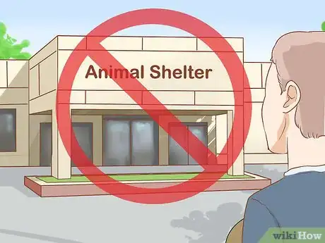 Imagen titulada Get Rid of Cats Step 11