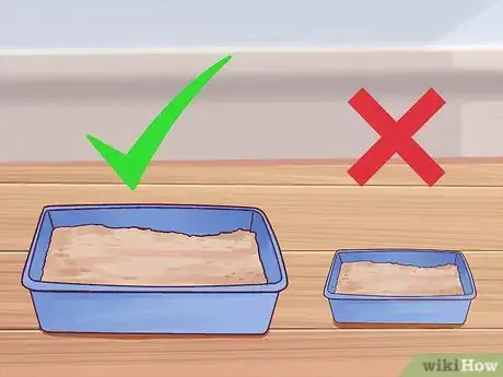 Imagen titulada Litter Train a Kitten Step 1