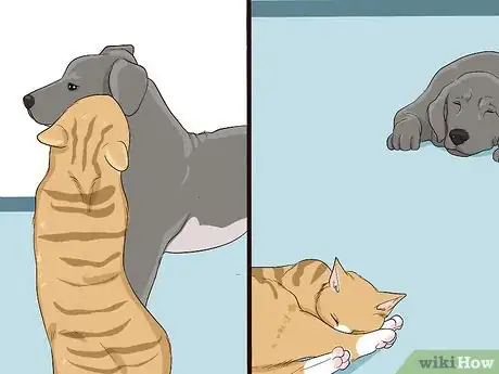 Imagen titulada Introduce a Cat to a Dog Step 8