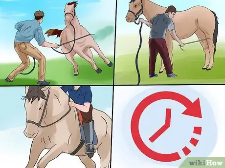 Imagen titulada Train a Horse to Respect You Step 7