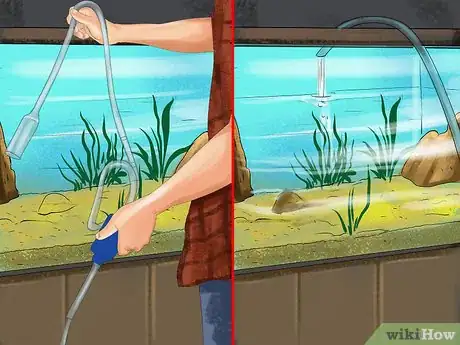 Imagen titulada Treat Fin Rot Step 3