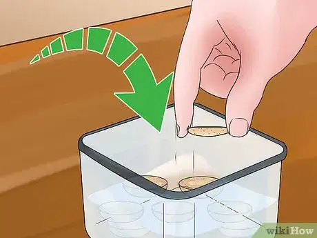 Imagen titulada Store Macarons Step 10