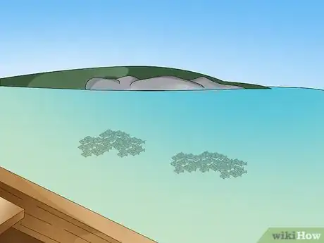 Imagen titulada Spear a Fish Step 10