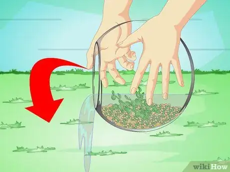 Imagen titulada Change the Water in a Fish Bowl Step 6