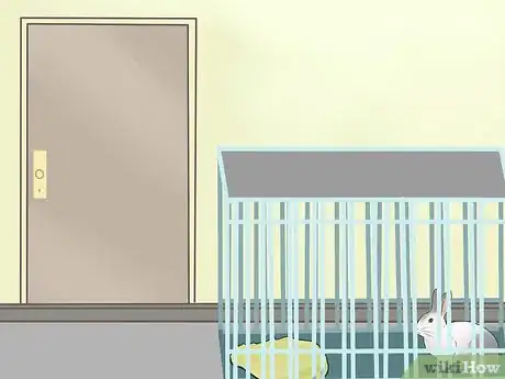 Imagen titulada Keep a Rabbit and a Cat Step 3