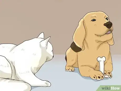 Imagen titulada Introduce a Cat to a Dog Step 7