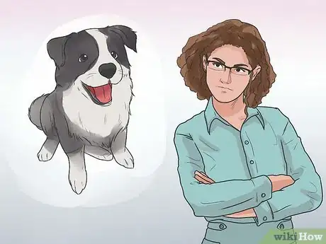 Imagen titulada Train Border Collies Step 26