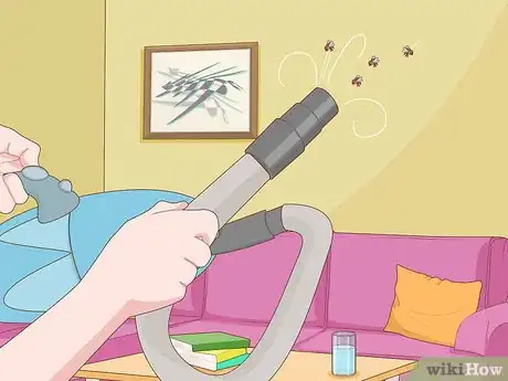 Imagen titulada Get Rid of Flies Step 1